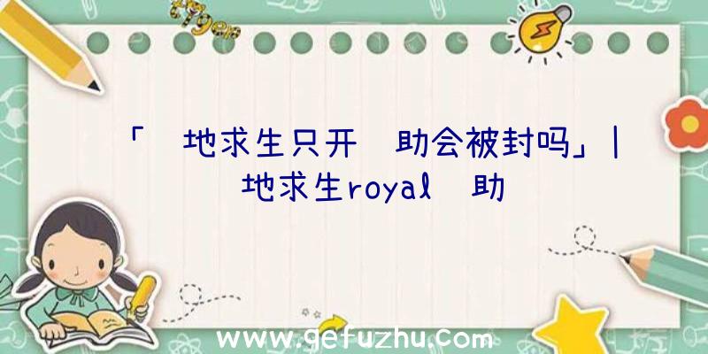 「绝地求生只开辅助会被封吗」|绝地求生royal辅助